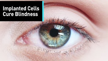 Scientists Have Grown Cornea Cells To Help Cure Blindness