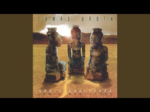 Tomas Bodin — Picture