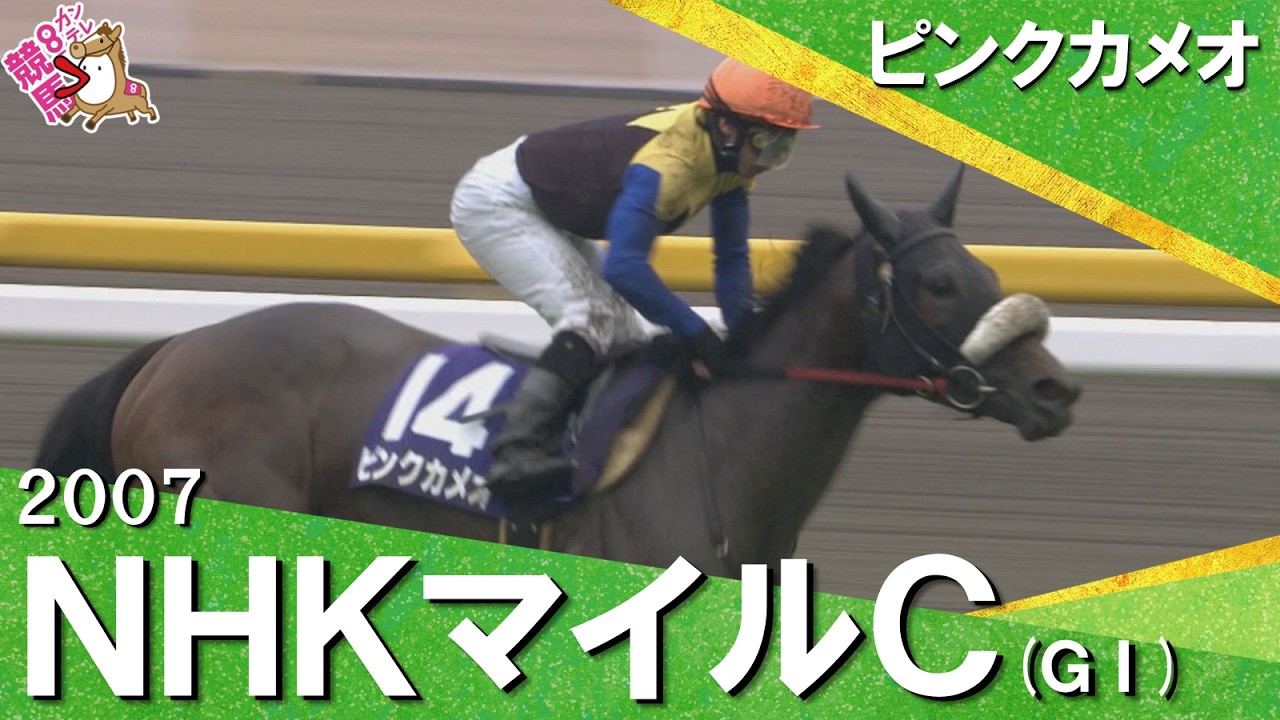 関連動画2