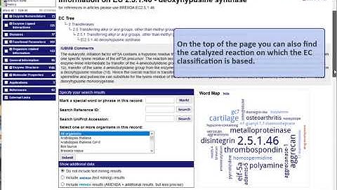 BRENDA enzyme database - Enzyme Search