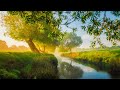 Relaxing Music for Stress Relief - Stop Overthinking, Calming Music, Peaceful Music, Sleep Music #28