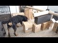 Rottweiler Box Maze challenge |47