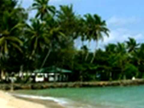 Polhena Reef Garden, Matara, Sri Lanka