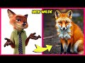 Zootopia Movie Characters In Real Life and their Favorite Drinks, Snacks &amp; More! | Nick Wilde, Judy
