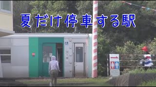 JR四国（牟岐線）田井ノ浜駅　海水浴場にある夏だけ停車する駅