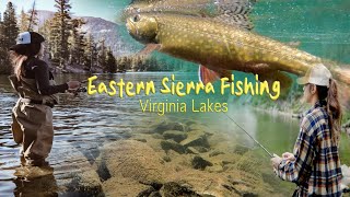 Hidden Gem | Virginia lakes Trout Fishing | Eastern Sierra Fishing | 2023