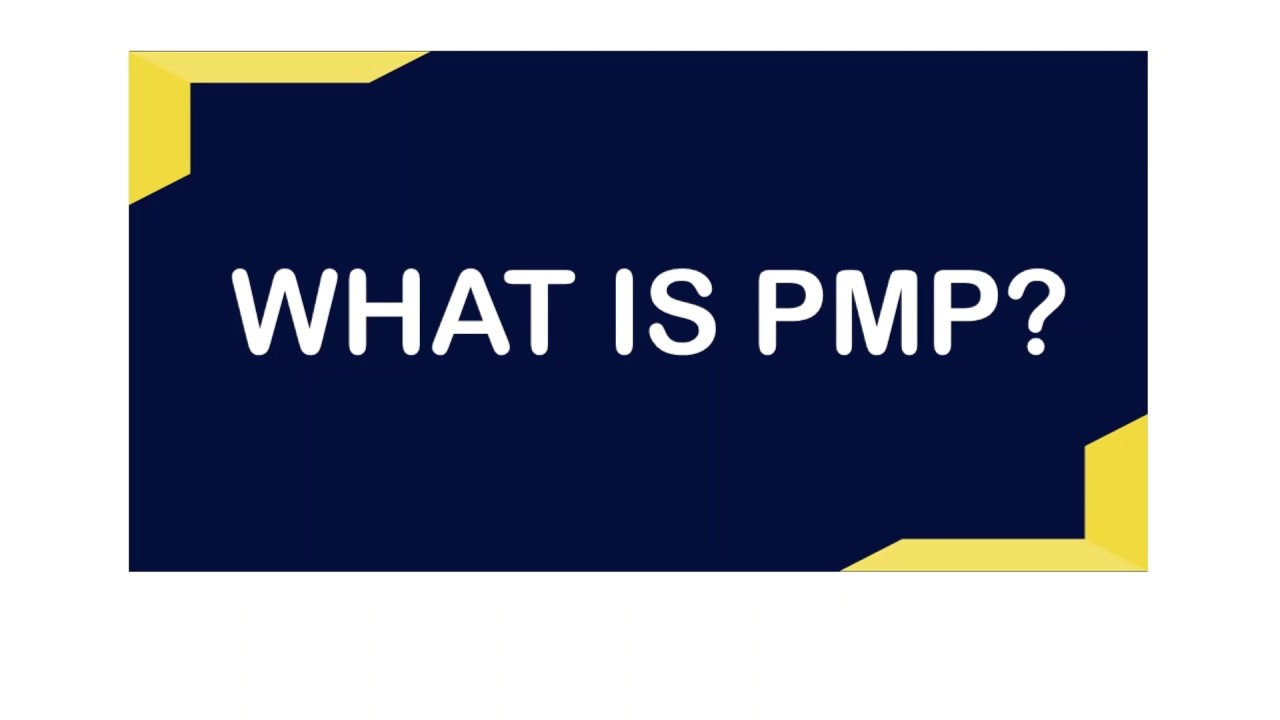 Project Management Professional Training - YouTube