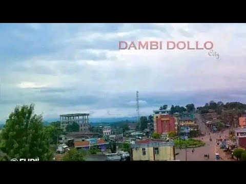 Jireenyaa Shiferaw Dembidollo New Music Ethiopia Oromoo Music 2025 