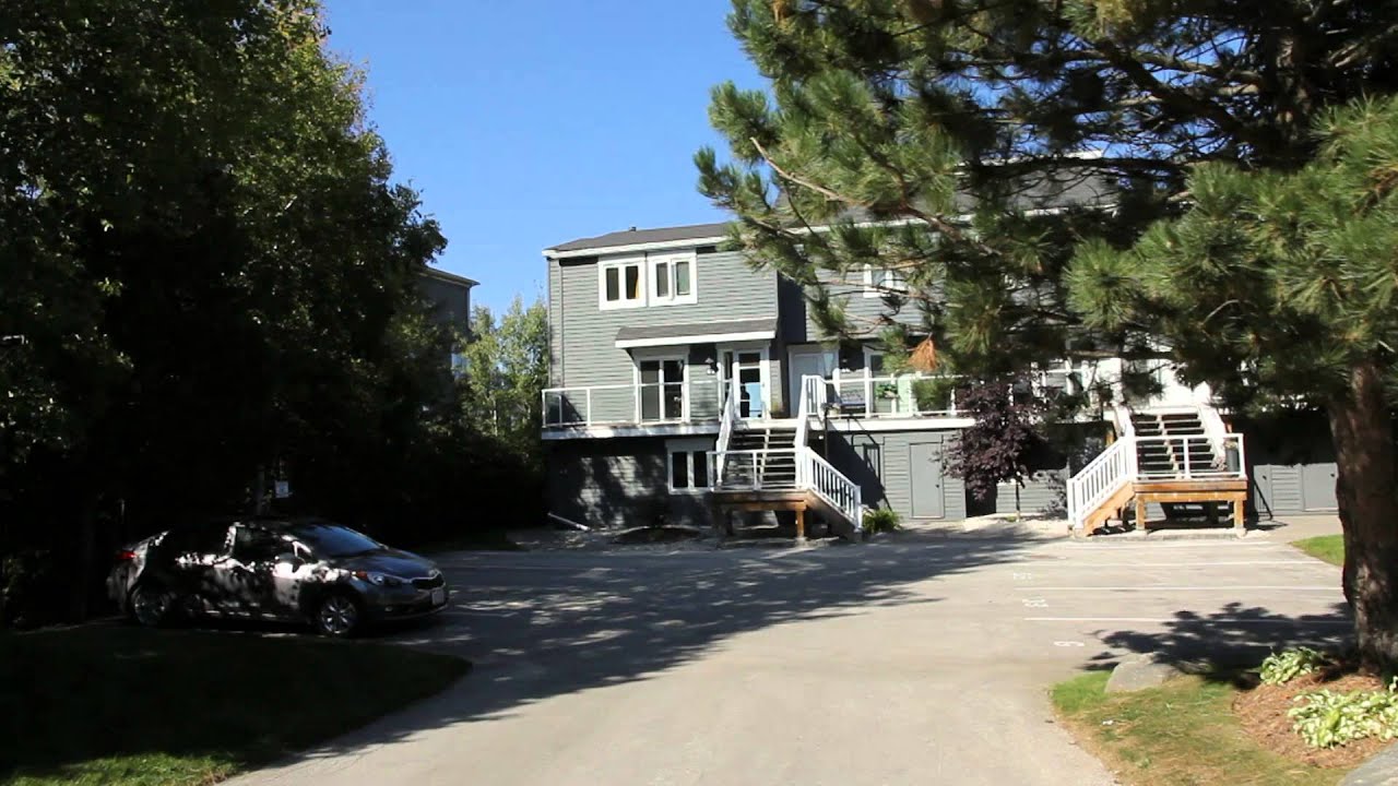 The Cove, Collingwood YouTube