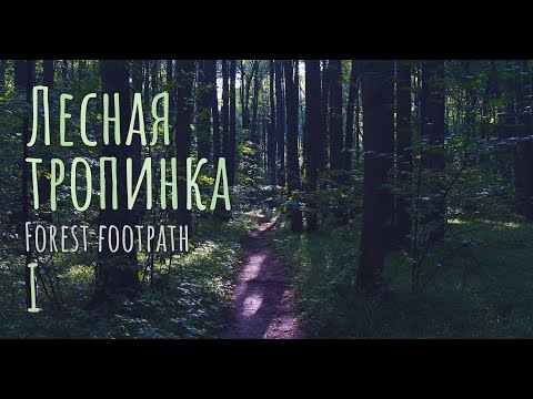 Лесная тропинка- часть 1 II Forest footpath - part 1 💚 4k nature