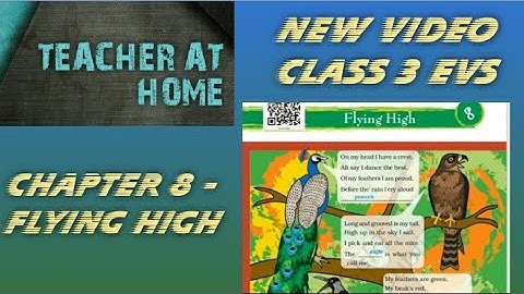 NCERT CLASS 3 EVS Chapter 8 FLYING HIGH with explanation