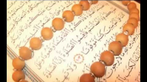 سورة الحجرات للشيخ ياسر الدوسري   Surat ALhojarat 2