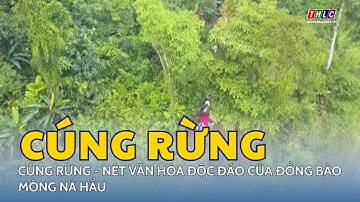 Cúng rừng - nét văn hóa độc đáo của đồng bào Mông Nà Hẩu | THLC