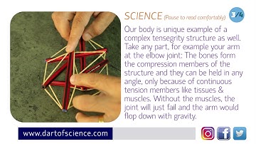 Science Behind Tensegrity Structures | DIY Transegrity Model Science Behind | D