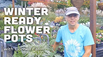 Refreshing Your Container Garden for Winter