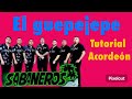El guepejepe, TUTORIAL, Sabaneros del Mareke, acordeón BESAS cinco letras