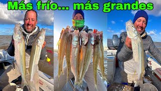 TV Nº589 16-06-2023 Más frío, más grandes los pescados