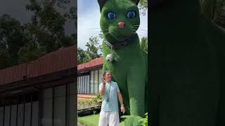 This cat is really alive! 🥰 #funny #cats #catvideos #tiktok #social #usafunny #catlovers #funpage