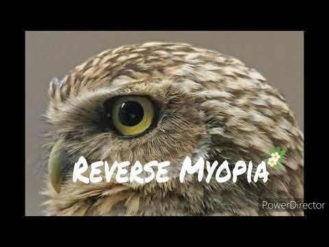 Perfect Vision Subliminal Reverse Myopia