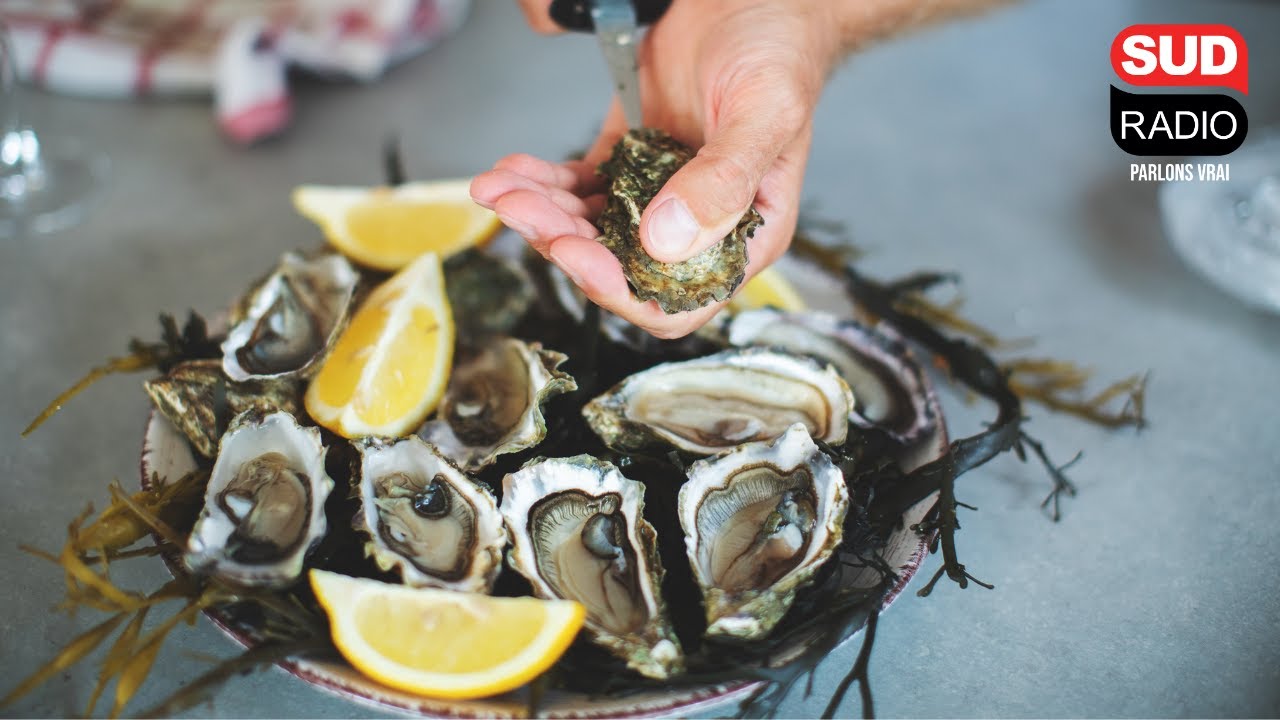 Huîtres contaminées : 3 mois après, quel bilan ?