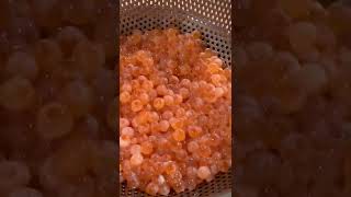 美味すぎた！いくらの醤油漬け｜How to make Salmon roe marinated in soy sauce #shorts