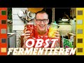 Obst fermentieren mit Milchsäure - Anleitung + Rezept