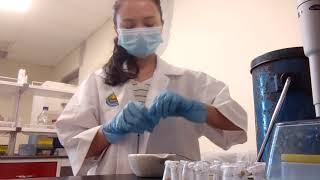 Part 1: Grinding plant roots under liquid nitrogen