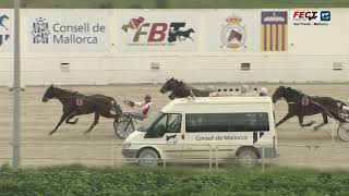 Vidéo de la course PMU PREMI HIPODROM DE JESUS - CA MADO AINA