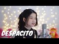 Despacito  shania yan cover