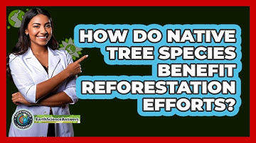 How Do Native Tree Species Benefit Reforestation Efforts? - Earth Science Answers