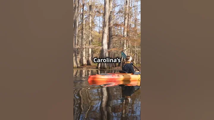 Discover Unknown Facts About the 50 U.S. States! #32 North Carolina