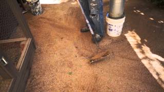 chicken coop sand using