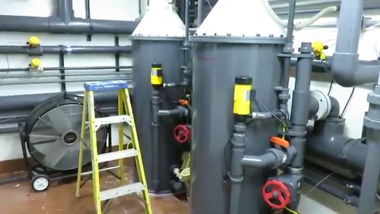 Aquarium Engineering protein skimmers at work YouTube