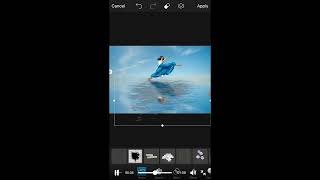 Water Reflection Effect photo editing in PicsArt screenshot 5