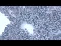 В тиши высоких снегов | С любовью к русской природе