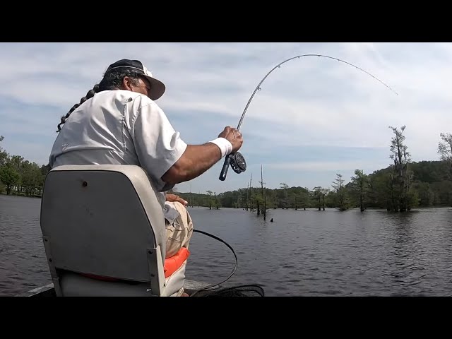 Single Pole Jig Crappie Fishing! A few Slabs! Fly Reel! 