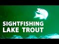 Sightfishing lake trout in 27 feet  clearwater lake manitoba