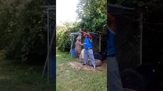 Blue Pit Bull Spring Pole