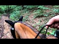 Mistakes people make neck reining on the trail: Episode 14-The Trail to the World Show