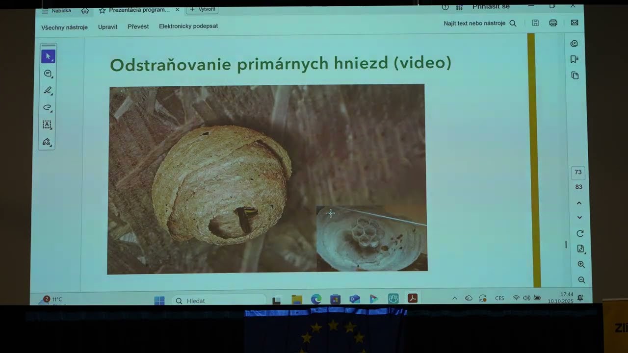 Likvidace a výskyt sršně asijské. Přednáška Mgr. Heleny Prokové, PhD.