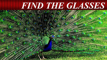 Can You Find The Hidden Objects | 99% Fail | Hardest Game | Brain Booster