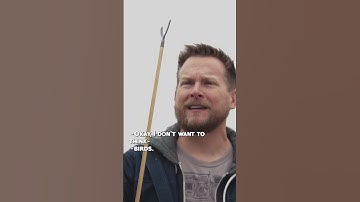 The different (scary) kinds of arrowheads 😳