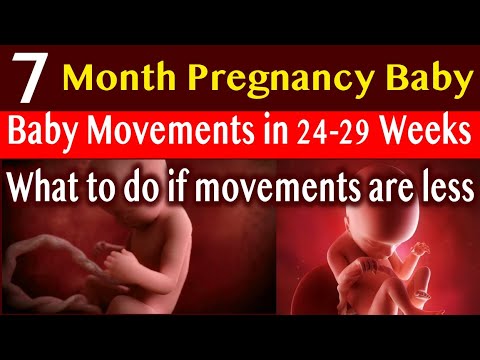 Pregnant Movements