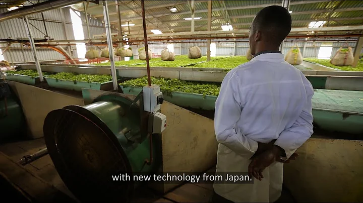 Low carbon and climate resilient industrial development in Africa