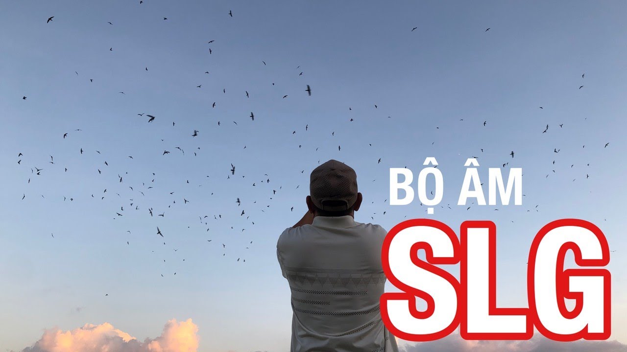 Bộ Âm Thanh Nhà Yến SLG | Âm Thanh Nhà Yến Hay