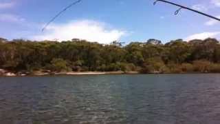 flathead and whiting fishing at nambucca