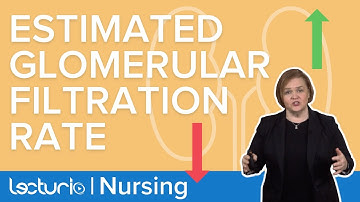 How Estimated Glomerular Filtration Rate (eGFR) Relates to Kidney Function | Lecturio Nursing