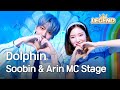 Gambar cover Soobin & Arin MC Stage - Dolphin