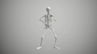 Skeleton Break dance award winning animation video