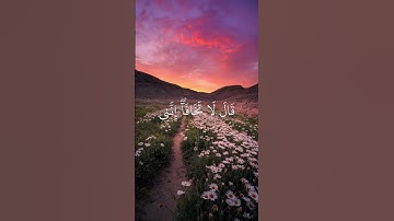سورة طه للقارئ محمد ديبيروف قال لا تخافا#quran #اسلام #fyp #viral #views #اكسبلور #قرآن #edit